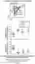 Fig. 82 - OPTIMIZED LENTIVIRAL VECTOR FOR XLA GENE THERAPY