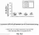Fig. 84 - OPTIMIZED LENTIVIRAL VECTOR FOR XLA GENE THERAPY