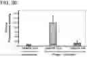 Fig. 08 - Modified cascade ribonucleoproteins and uses thereof