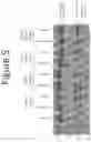 Fig. 06 - Compositions and methods for modulating Ataxin 3 expression