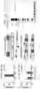 Fig. 06 - RNA-GUIDED DNA INTEGRATION USING TN7-LIKE TRANSPOSONS