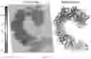 Fig. 101 - RNA-GUIDED DNA INTEGRATION USING TN7-LIKE TRANSPOSONS