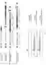 Fig. 119 - RNA-GUIDED DNA INTEGRATION USING TN7-LIKE TRANSPOSONS
