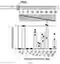 Fig. 12 - RNA-GUIDED DNA INTEGRATION USING TN7-LIKE TRANSPOSONS