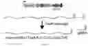 Fig. 152 - RNA-GUIDED DNA INTEGRATION USING TN7-LIKE TRANSPOSONS
