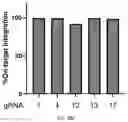Fig. 156 - RNA-GUIDED DNA INTEGRATION USING TN7-LIKE TRANSPOSONS