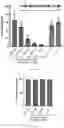 Fig. 158 - RNA-GUIDED DNA INTEGRATION USING TN7-LIKE TRANSPOSONS