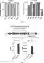 Fig. 171 - RNA-GUIDED DNA INTEGRATION USING TN7-LIKE TRANSPOSONS