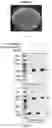 Fig. 27 - RNA-GUIDED DNA INTEGRATION USING TN7-LIKE TRANSPOSONS