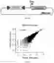 Fig. 42 - RNA-GUIDED DNA INTEGRATION USING TN7-LIKE TRANSPOSONS