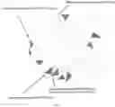 Fig. 61 - RNA-GUIDED DNA INTEGRATION USING TN7-LIKE TRANSPOSONS