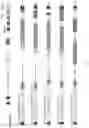 Fig. 62 - RNA-GUIDED DNA INTEGRATION USING TN7-LIKE TRANSPOSONS