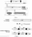 Fig. 63 - RNA-GUIDED DNA INTEGRATION USING TN7-LIKE TRANSPOSONS