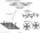 Fig. 66 - RNA-GUIDED DNA INTEGRATION USING TN7-LIKE TRANSPOSONS