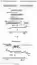 Fig. 69 - RNA-GUIDED DNA INTEGRATION USING TN7-LIKE TRANSPOSONS