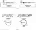 Fig. 71 - RNA-GUIDED DNA INTEGRATION USING TN7-LIKE TRANSPOSONS