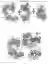 Fig. 80 - RNA-GUIDED DNA INTEGRATION USING TN7-LIKE TRANSPOSONS