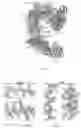 Fig. 93 - RNA-GUIDED DNA INTEGRATION USING TN7-LIKE TRANSPOSONS