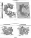 Fig. 98 - RNA-GUIDED DNA INTEGRATION USING TN7-LIKE TRANSPOSONS