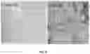 Fig. 09 - Aptamers as a therapeutic tool to prevent protein aggregation in neurodegenerative disease
