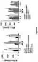 Fig. 05 - Compositions and Methods for Inducing an Enhanced Immune Response Using Poxvirus Vectors