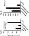 Fig. 10 - Compositions and Methods for Inducing an Enhanced Immune Response Using Poxvirus Vectors