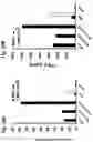 Fig. 12 - Compositions and Methods for Inducing an Enhanced Immune Response Using Poxvirus Vectors