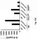 Fig. 17 - Compositions and Methods for Inducing an Enhanced Immune Response Using Poxvirus Vectors