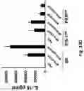 Fig. 18 - Compositions and Methods for Inducing an Enhanced Immune Response Using Poxvirus Vectors
