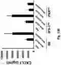 Fig. 19 - Compositions and Methods for Inducing an Enhanced Immune Response Using Poxvirus Vectors