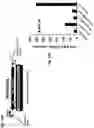 Fig. 24 - Compositions and Methods for Inducing an Enhanced Immune Response Using Poxvirus Vectors