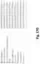 Fig. 28 - Compositions and Methods for Inducing an Enhanced Immune Response Using Poxvirus Vectors