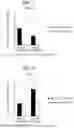 Fig. 02 - Method for screening prophylactic or therapeutic agents for diseases caused by interleukin 6, interleukin 13, TNF, G-CSF, CXCL1, CXCL2, or CXCL5 and agent for the prevention or treatment of diseases caused by interleukin 6, interleukin 13, TNF, G-CSF, CXCL1, CXCL2, or CXCL5