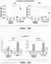Fig. 09 - PARP9 and PARP14 as key regulators of macrophage activation