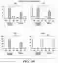 Fig. 10 - PARP9 and PARP14 as key regulators of macrophage activation