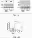 Fig. 11 - PARP9 and PARP14 as key regulators of macrophage activation