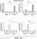 Fig. 13 - PARP9 and PARP14 as key regulators of macrophage activation