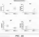 Fig. 16 - PARP9 and PARP14 as key regulators of macrophage activation