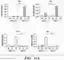 Fig. 26 - PARP9 and PARP14 as key regulators of macrophage activation