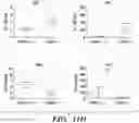 Fig. 28 - PARP9 and PARP14 as key regulators of macrophage activation