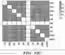 Fig. 34 - PARP9 and PARP14 as key regulators of macrophage activation