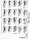 Fig. 40 - PARP9 and PARP14 as key regulators of macrophage activation