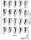 Fig. 42 - PARP9 and PARP14 as key regulators of macrophage activation