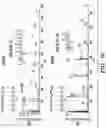 Fig. 45 - PARP9 and PARP14 as key regulators of macrophage activation
