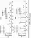 Fig. 46 - PARP9 and PARP14 as key regulators of macrophage activation