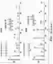 Fig. 47 - PARP9 and PARP14 as key regulators of macrophage activation