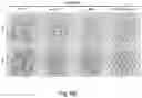 Fig. 15 - A COMBINATIONAL STRATEGY FOR REDUCING RANDOM INTEGRATION EVENTS WHEN TRANSFECTING PLANTS