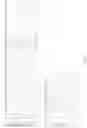 Fig. 22 - Method of increasing the function of an AAV vector
