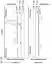 Fig. 75 - METHODS AND COMPOSITIONS FOR RNA-DIRECTED TARGET DNA MODIFICATION AND FOR RNA-DIRECTED MODULATION OF TRANSCRIPTION