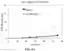Fig. 11 - transformant for producing itaconate and uses thereof